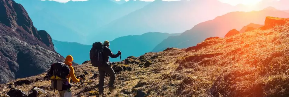 Markant & BAYARD – Next Level Product Content Services