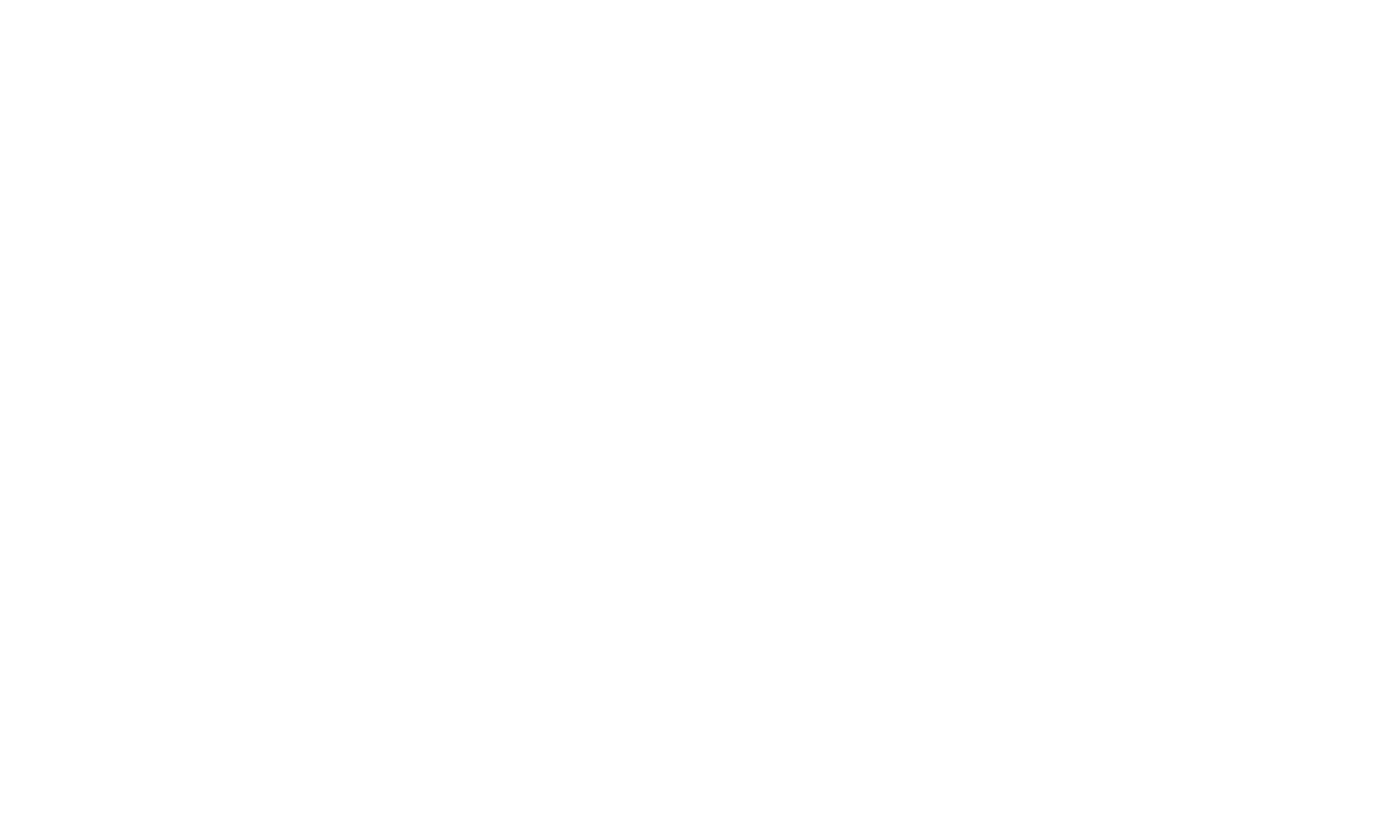 Schwarz Gruppe Logo