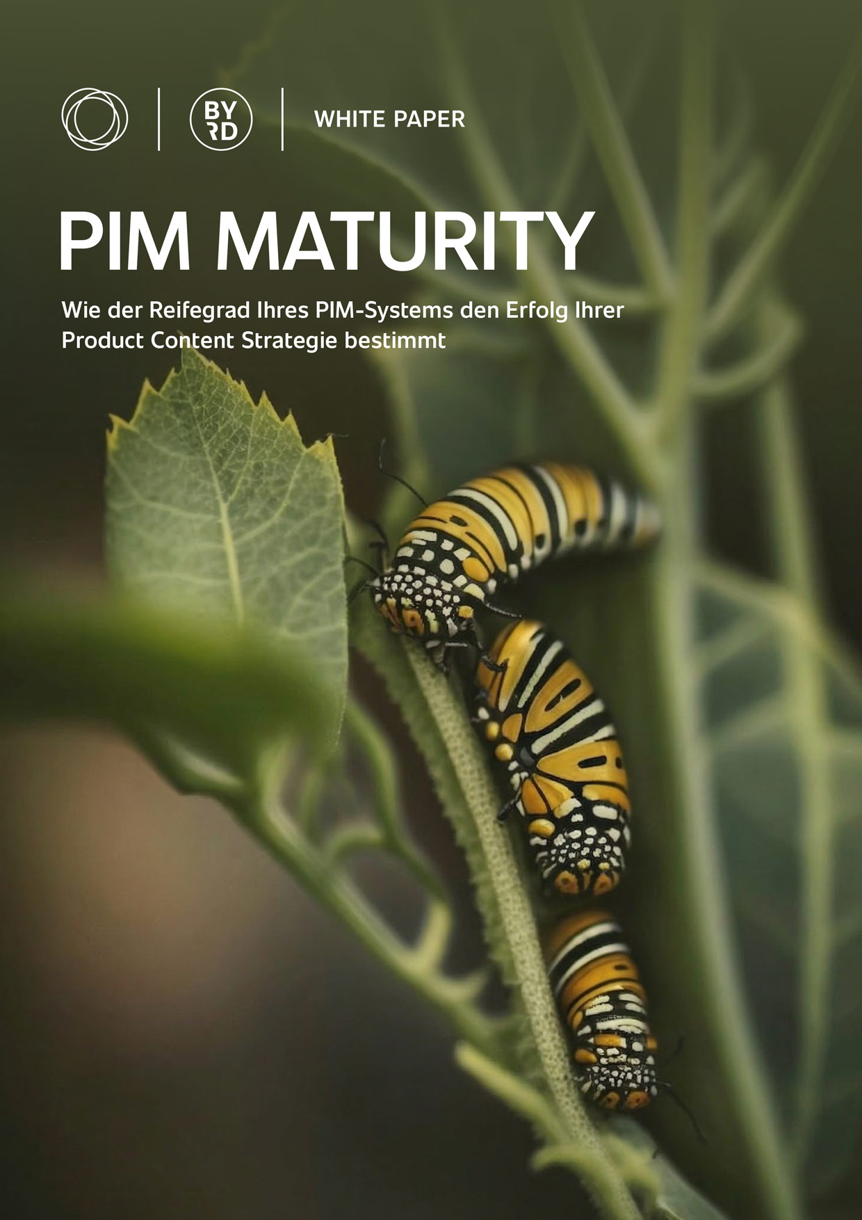 PIM Maturity: Wie der Reifegrad Ihres PIM-Systems den Erfolg Ihrer Product Content Strategie bestimmt